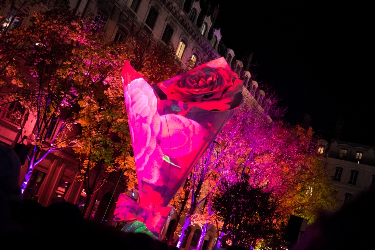 Titash : Lyon Fête des Lumières 2013