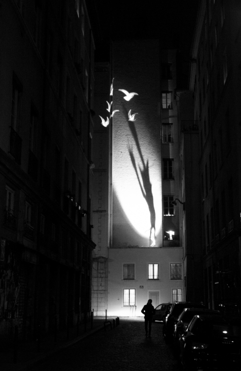 Titash : Lyon Fête des Lumières 2013